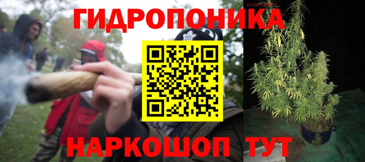 Бошки марихуана OG Kush  Конопля SATIVA & INDICA  Гагарин  Вход с VPN  Марихуана гибрид 